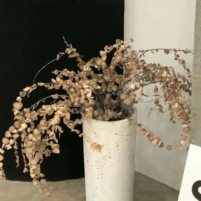 Furry角色动作绘画技巧福瑞交流群